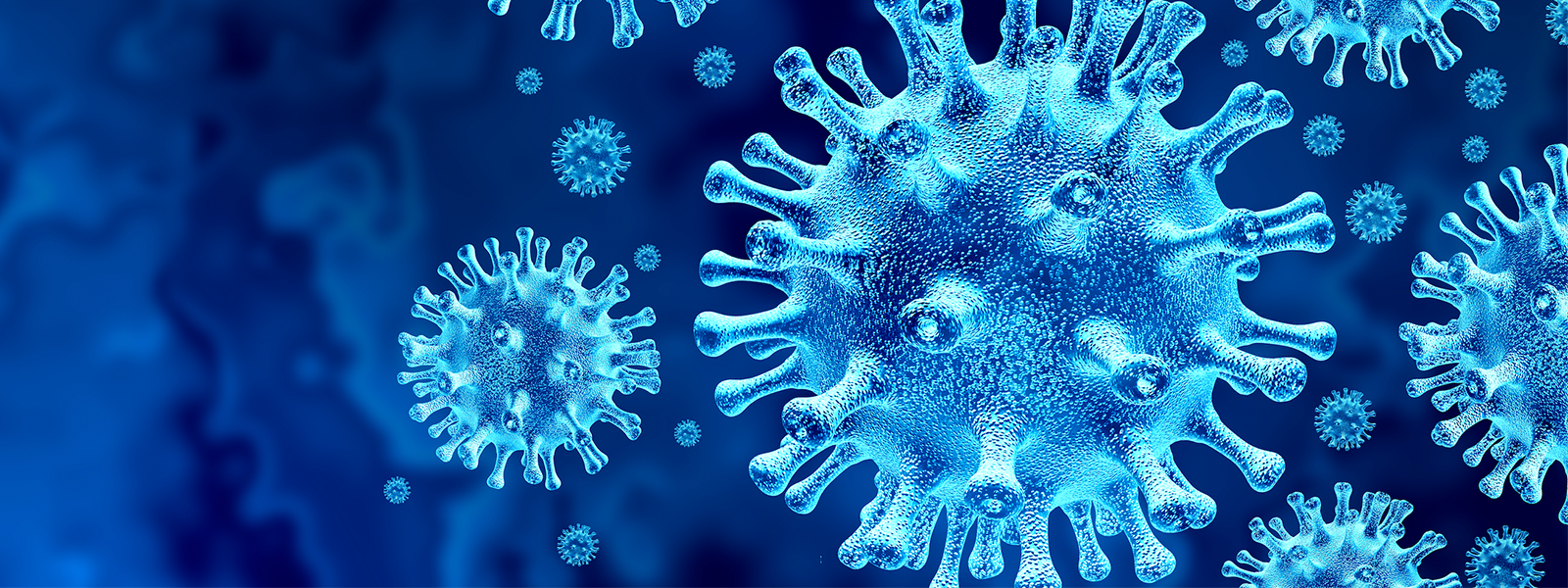 Relacion Periodontitis Alzheimer